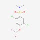 2,5-dichloro-4-(difluoromethoxy)-N,N-dimethylbenzene-1-sulfonamide