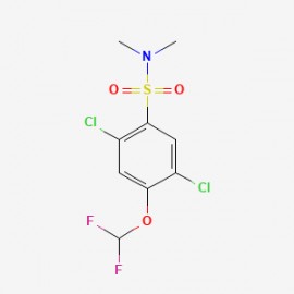 2,5-dichloro-4-(difluoromethoxy)-N,N-dimethylbenzene-1-sulfonamide