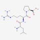 Leucylarginylproline