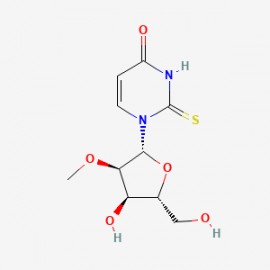 2'-O-Methyl-2-thiouridine