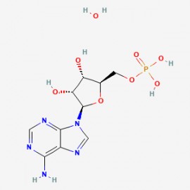 Adenosine 5'-monophosphate monohydrate