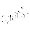2,3-Dihydroxy-12-oleanen-28-oic acid
