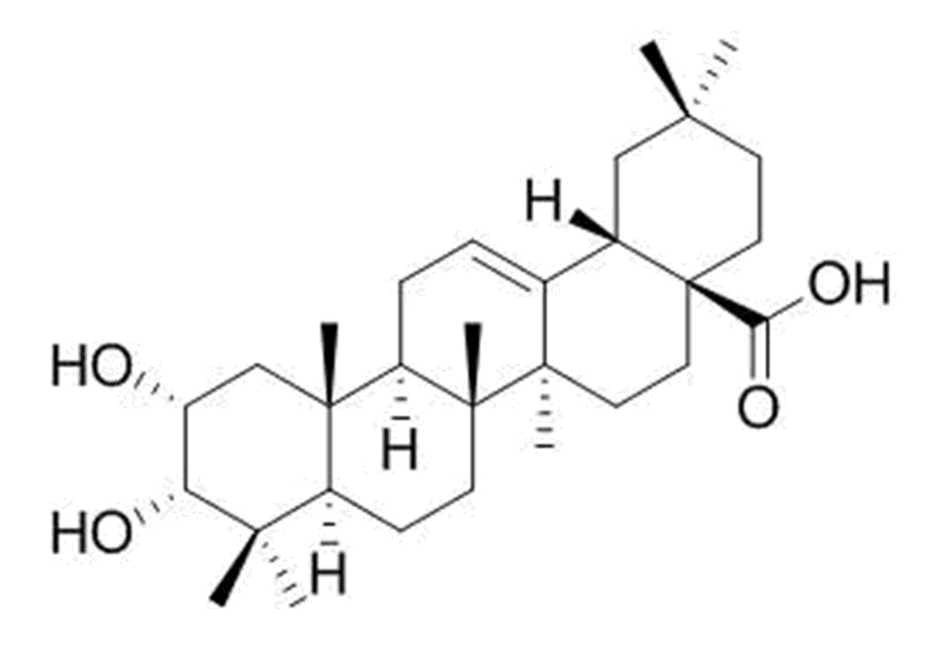 2,3-Dihydroxy-12-oleanen-28-oic acid