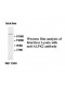 ALPK2 Antibody