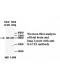 BACE1 Antibody
