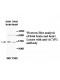 ACYP1 Antibody