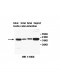 AKR1D1 Antibody