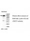 ZNF227 Antibody