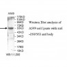ZNF563 Antibody