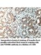 WDR86 Antibody