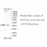 DCDC2B Antibody