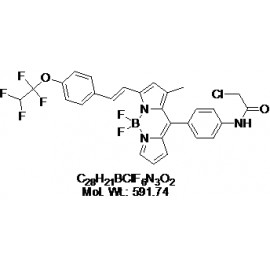 PT-Yellow (BDNCA3-D2)