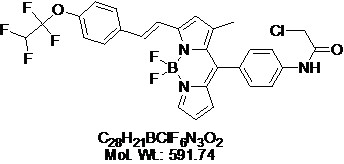 PT-Yellow (BDNCA3-D2)